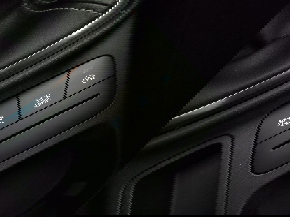 Ford Fiesta usata a Roma (19)