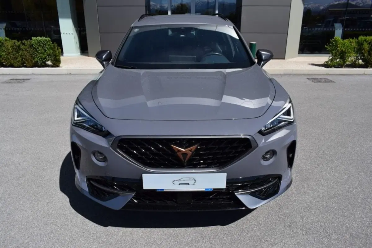 Cupra Formentor usata a Cuneo (2)