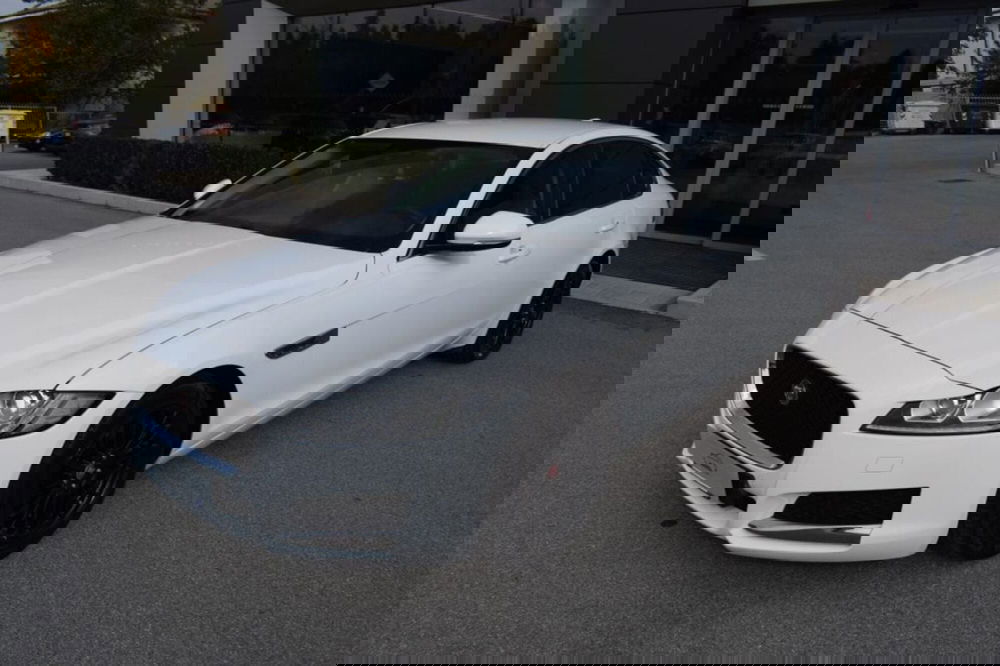 Jaguar XF usata a Cuneo