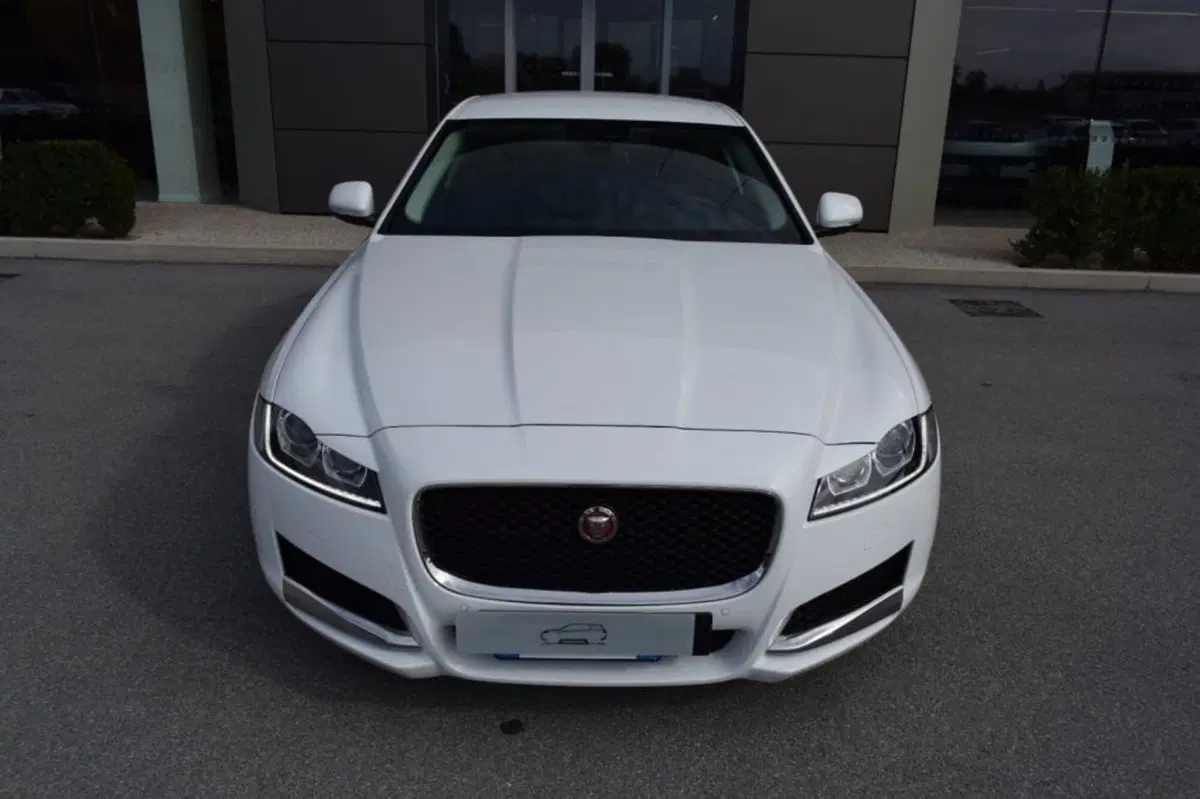 Jaguar XF usata a Cuneo (2)