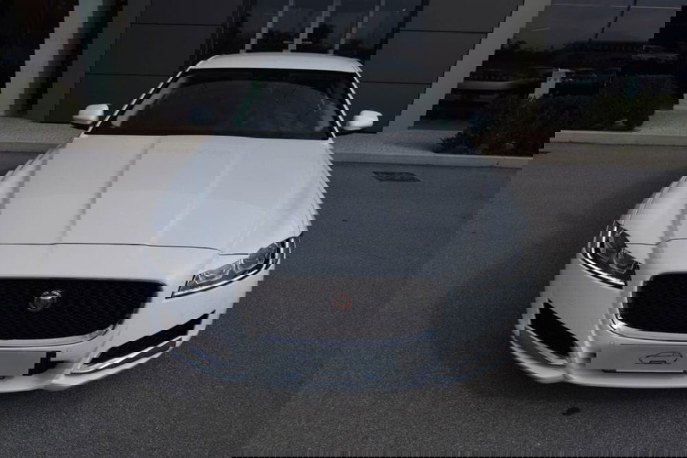 Jaguar XF usata a Cuneo (2)