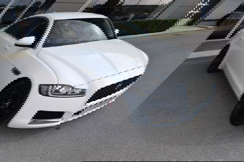 Jaguar XF usata a Cuneo (3)