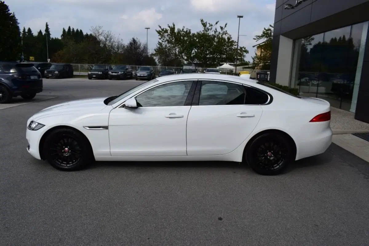 Jaguar XF usata a Cuneo (4)
