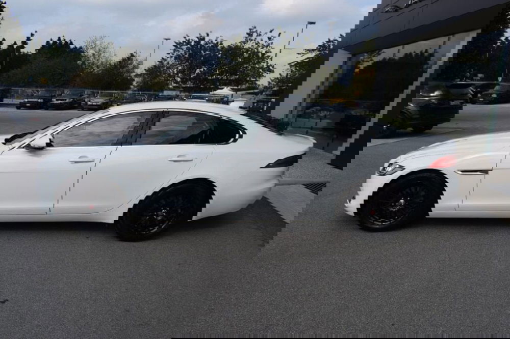 Jaguar XF usata a Cuneo (4)