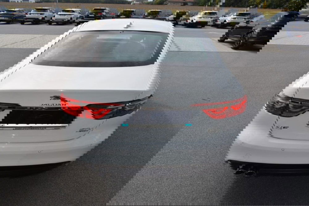 Jaguar XF usata a Cuneo (7)