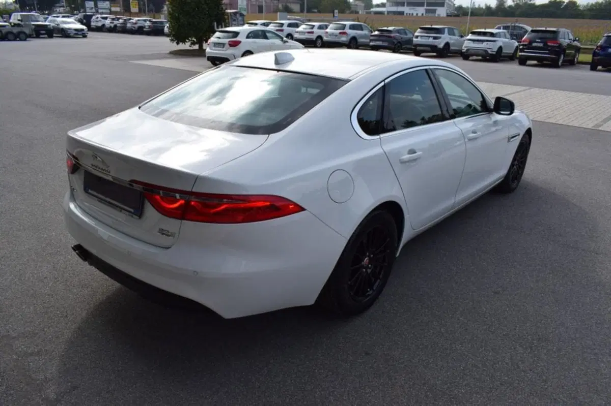 Jaguar XF usata a Cuneo (8)