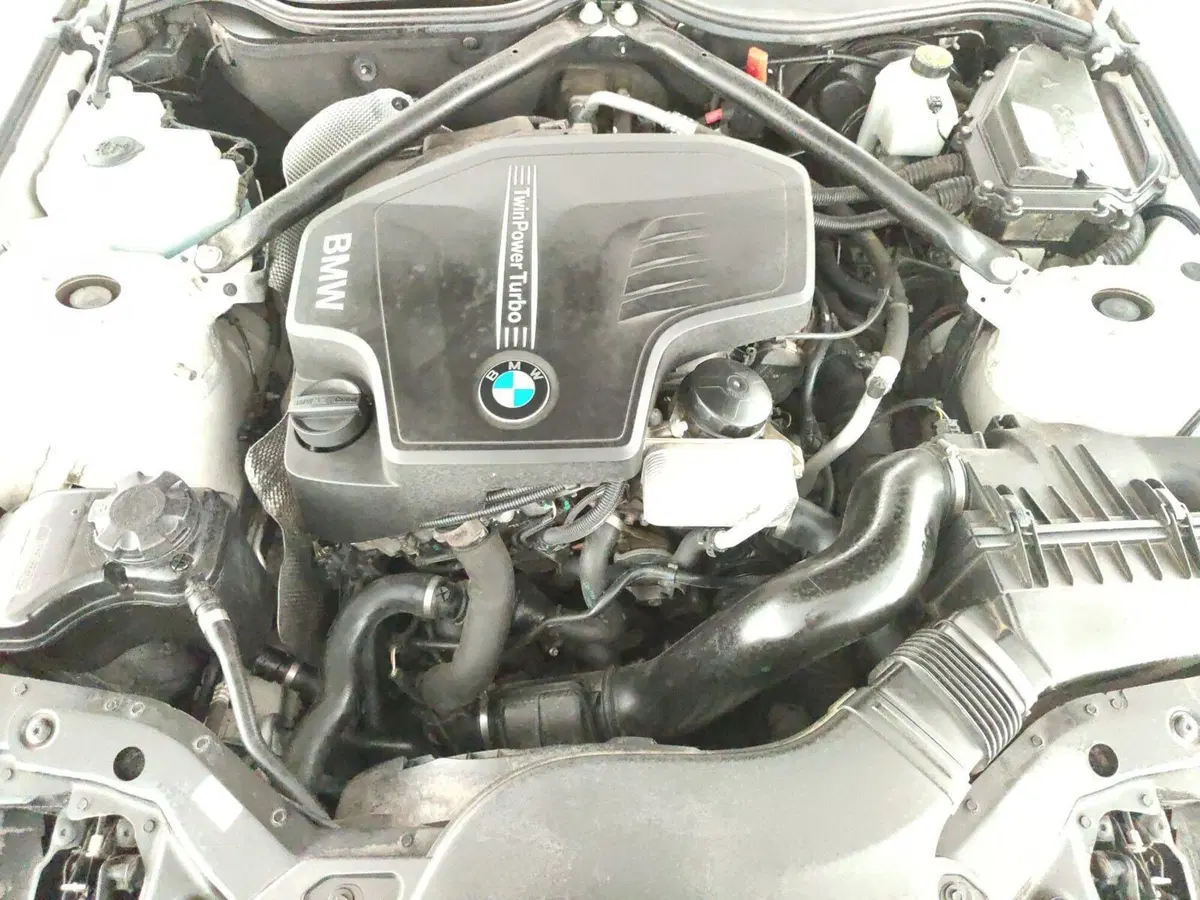 BMW Z4 Cabrio usata a Perugia (9)
