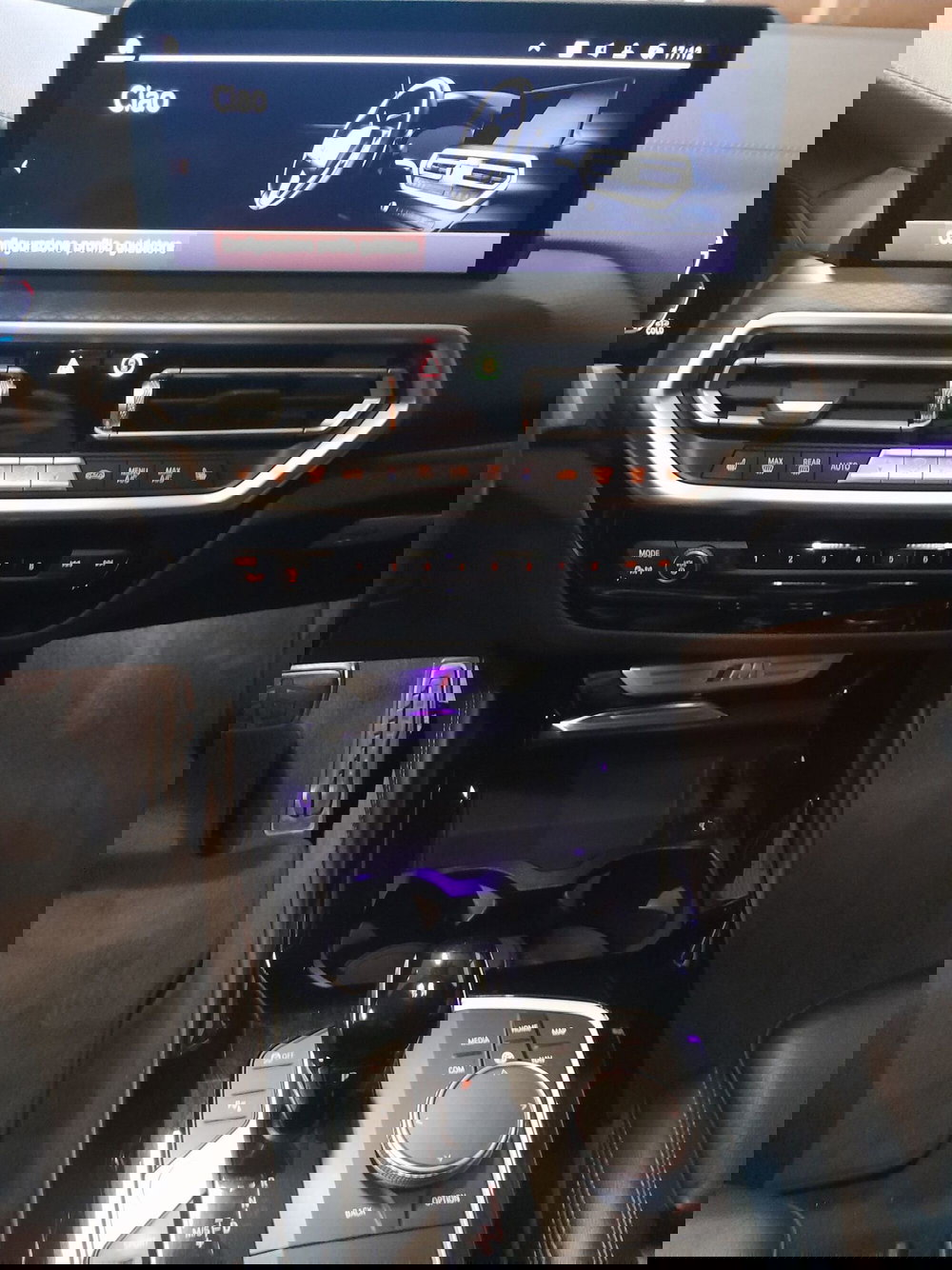 BMW X4 usata a Cuneo (13)