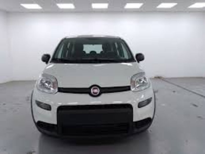 Fiat Panda nuova a Perugia