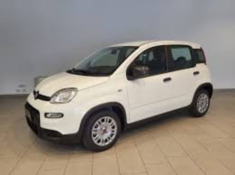 Fiat Panda nuova a Perugia (2)