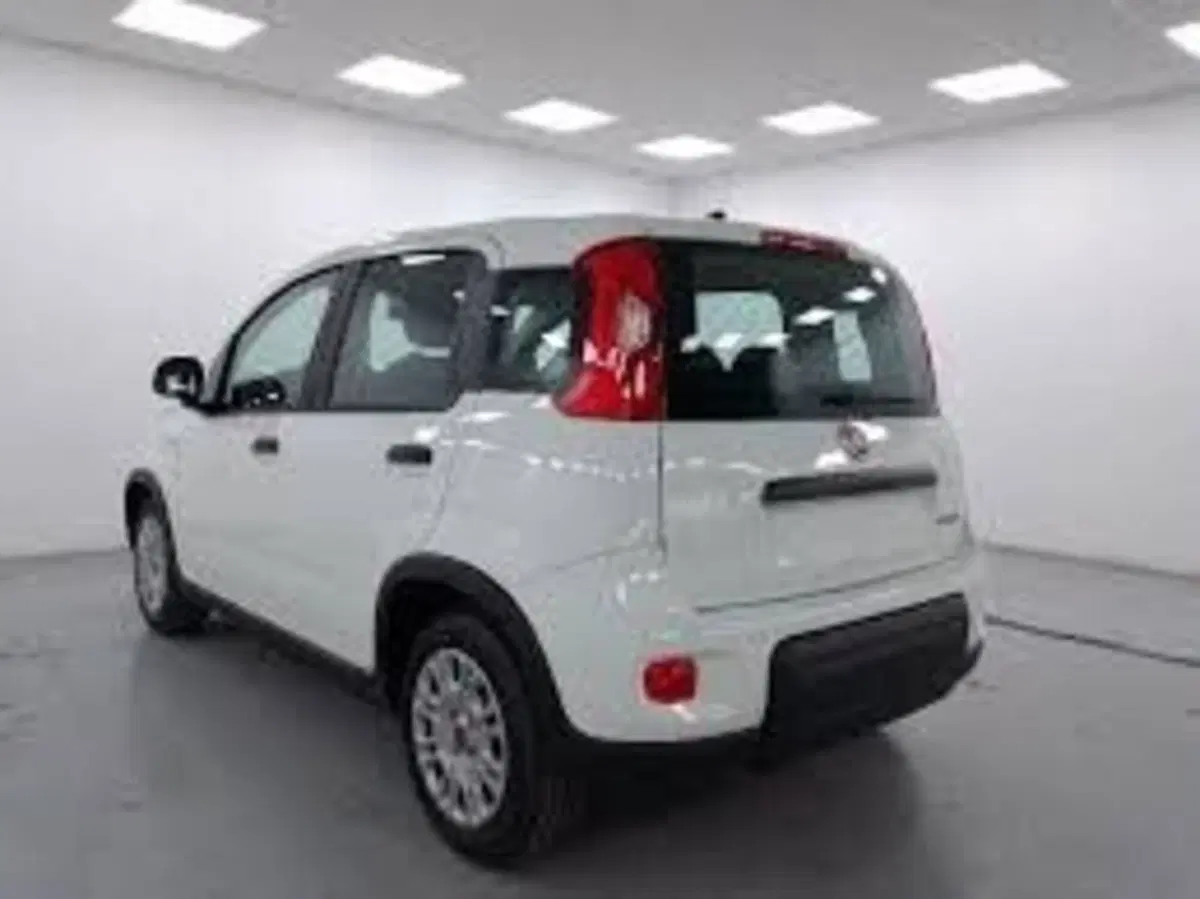 Fiat Panda nuova a Perugia (3)