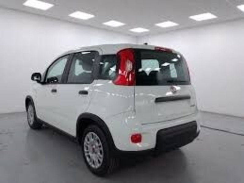 Fiat Panda nuova a Perugia (3)