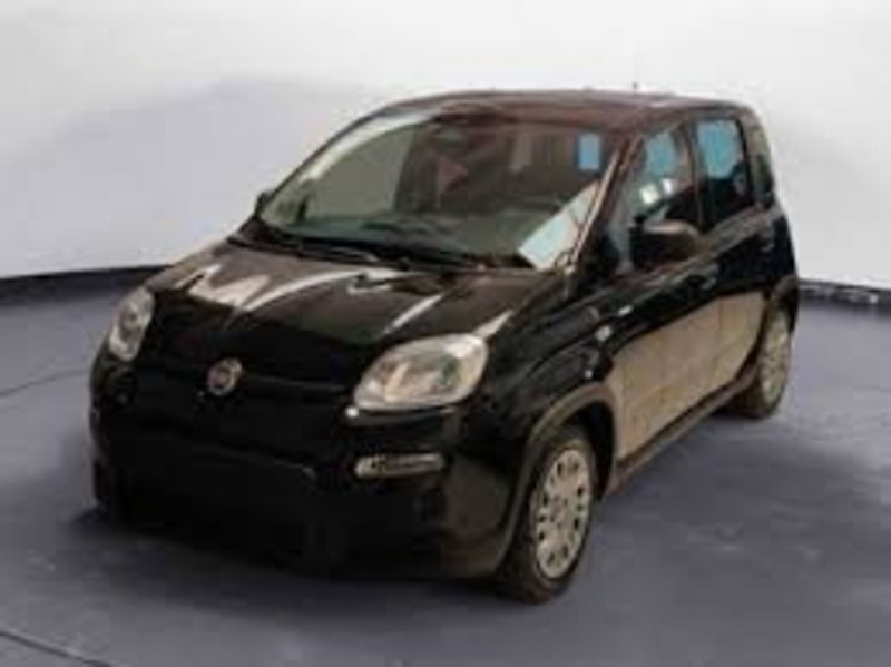 Fiat Panda nuova a Perugia (2)