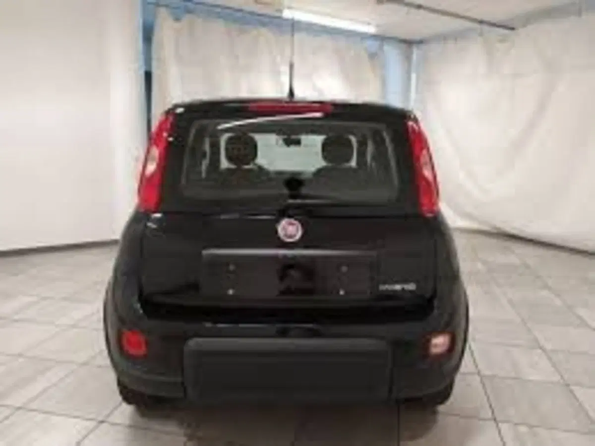 Fiat Panda nuova a Perugia (3)