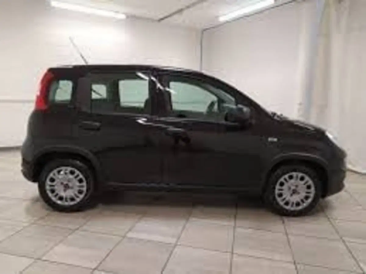 Fiat Panda nuova a Perugia (4)