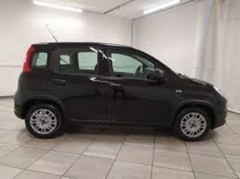 Fiat Panda nuova a Perugia (4)