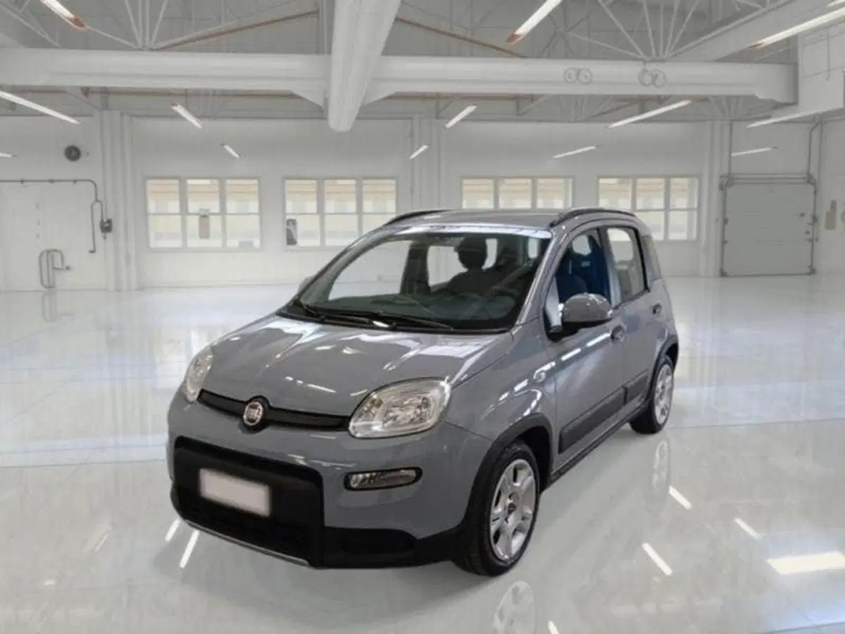 Fiat Panda usata a Perugia (2)