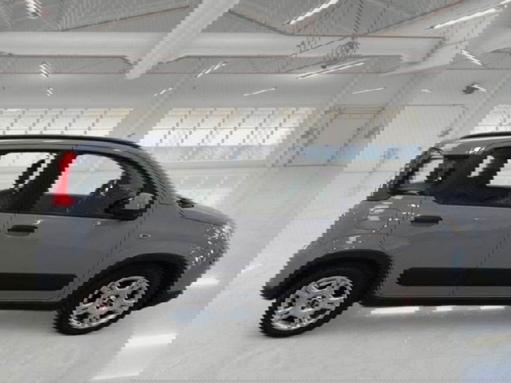 Fiat Panda usata a Perugia (5)