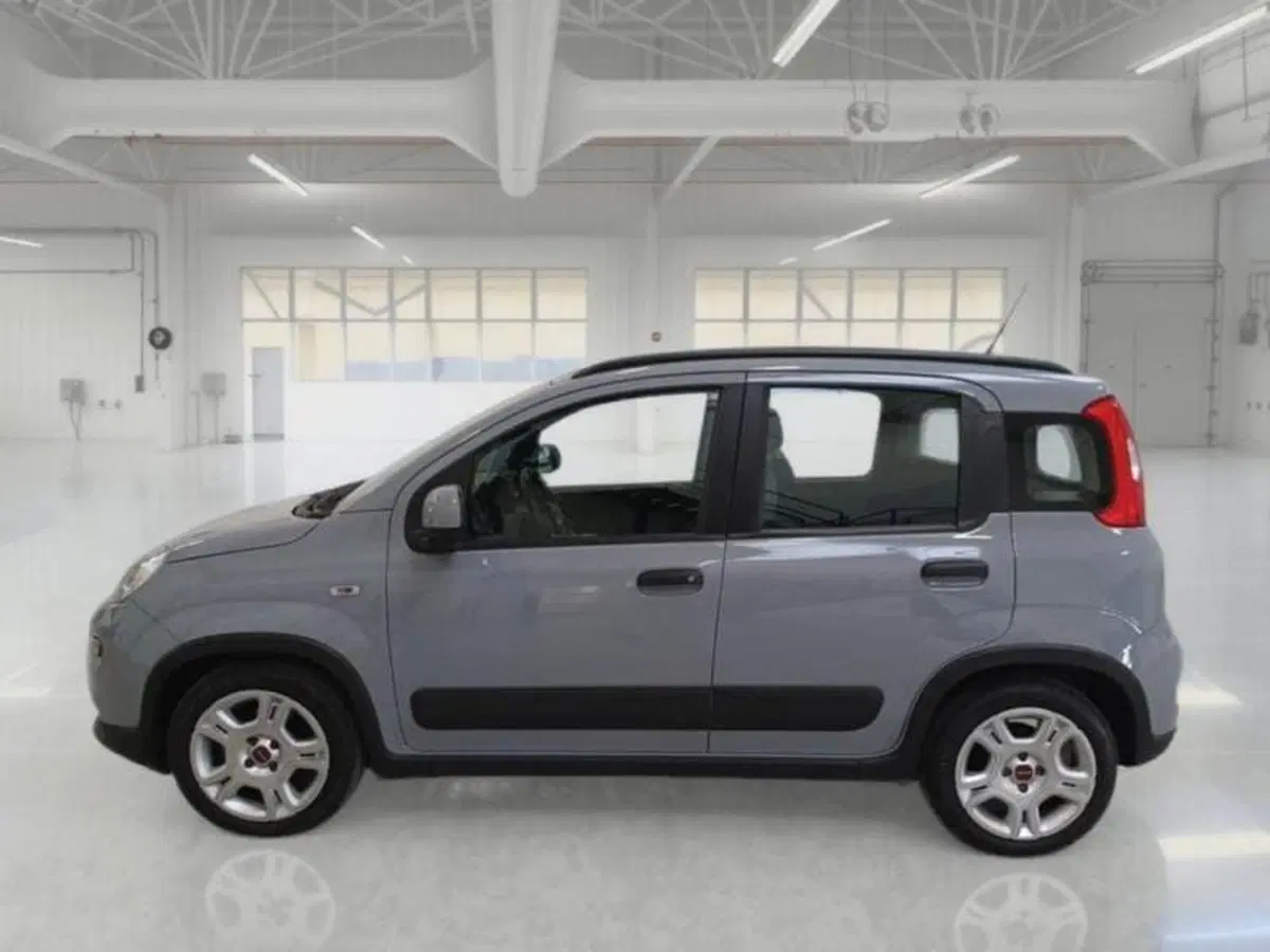 Fiat Panda usata a Perugia (6)
