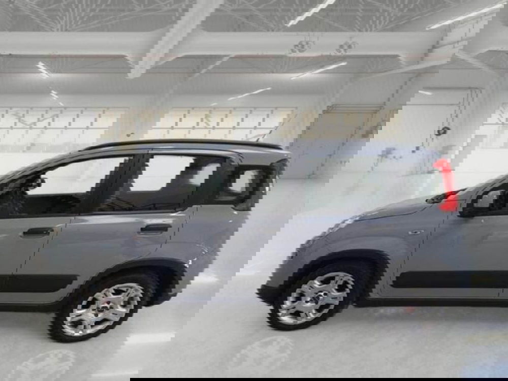 Fiat Panda usata a Perugia (6)