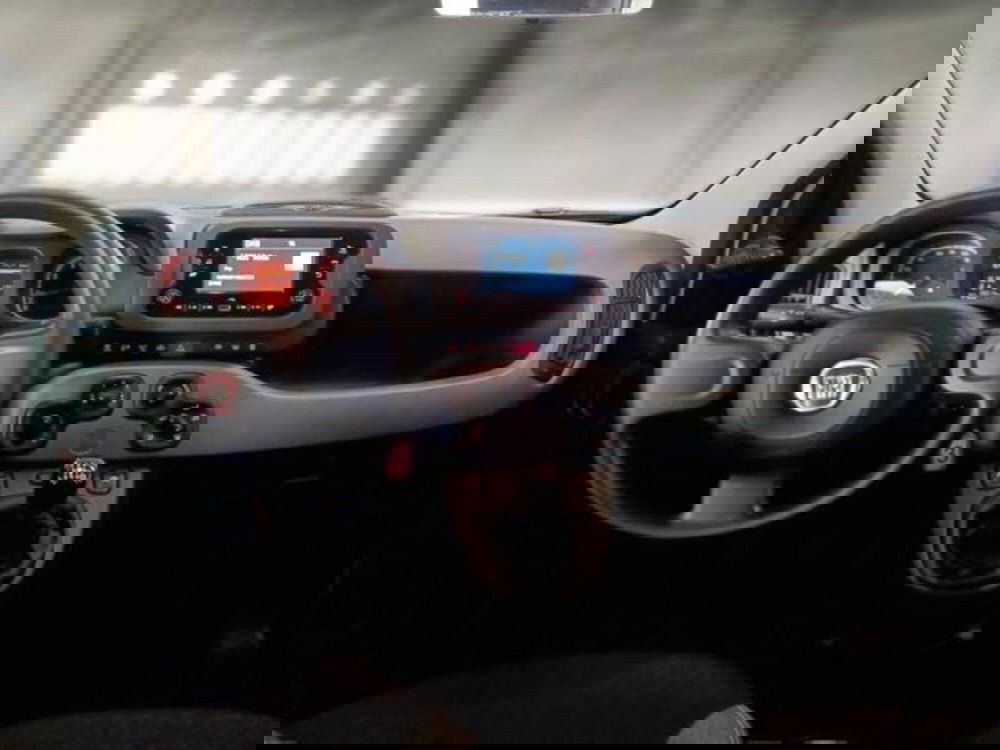 Fiat Panda usata a Perugia (7)