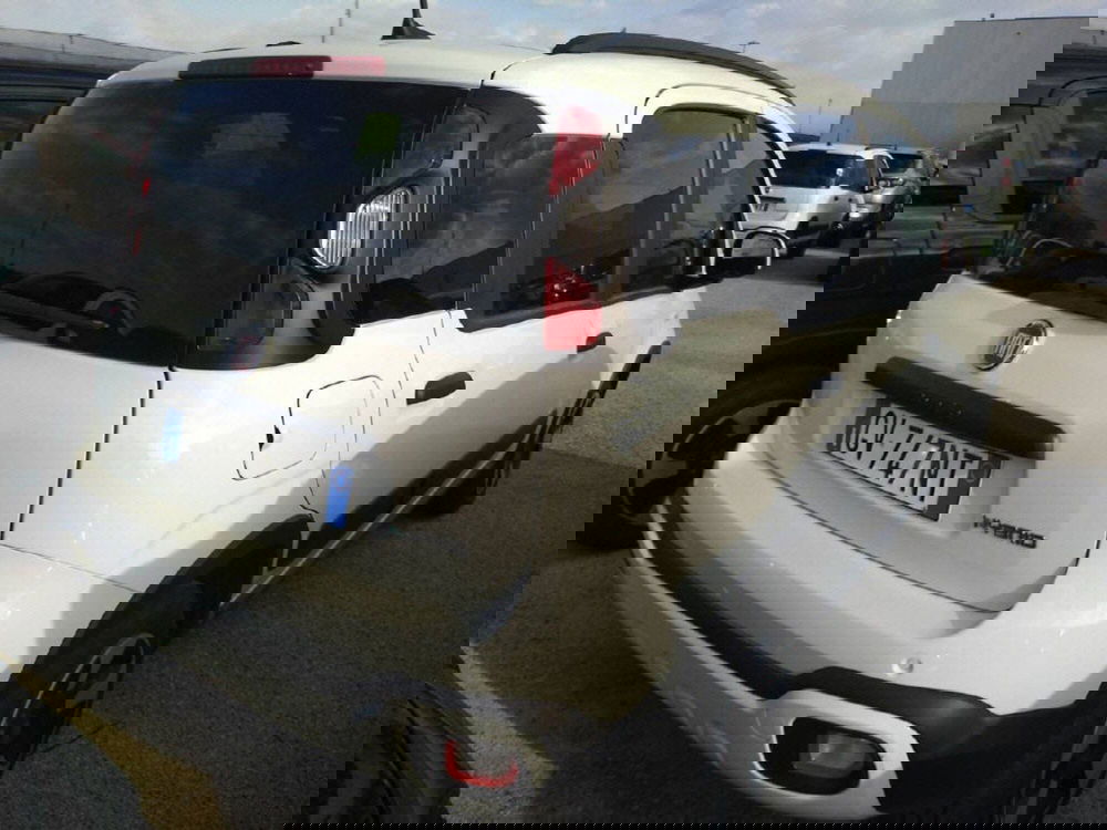Fiat Panda Cross usata a Perugia (5)