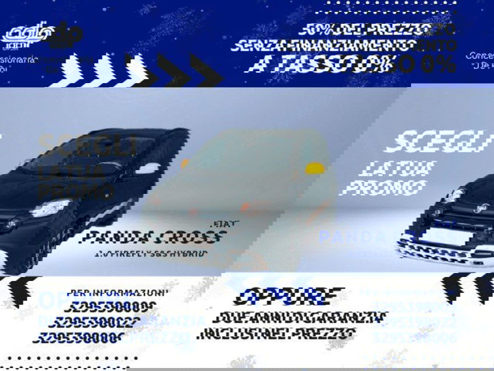 Fiat Panda Cross usata a Perugia