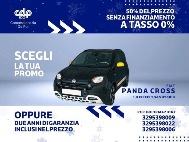 Fiat Panda Cross usata a Perugia
