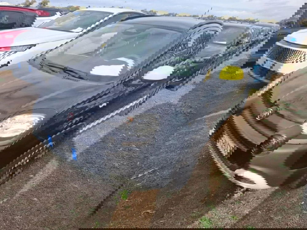 Fiat Panda Cross usata a Perugia (3)