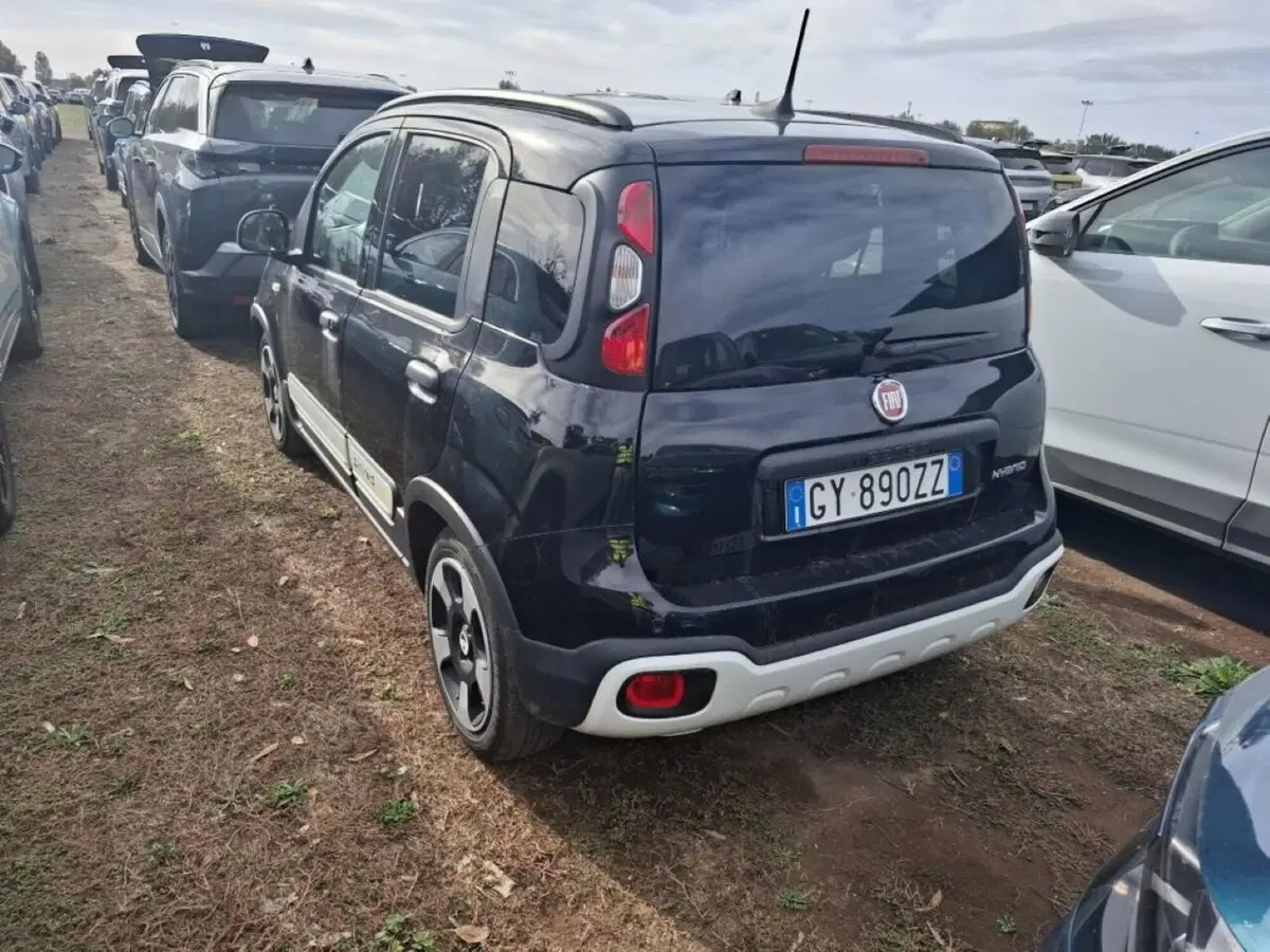 Fiat Panda Cross usata a Perugia (4)