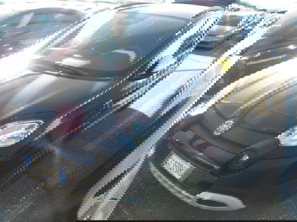 Fiat Panda Cross usata a Perugia (3)