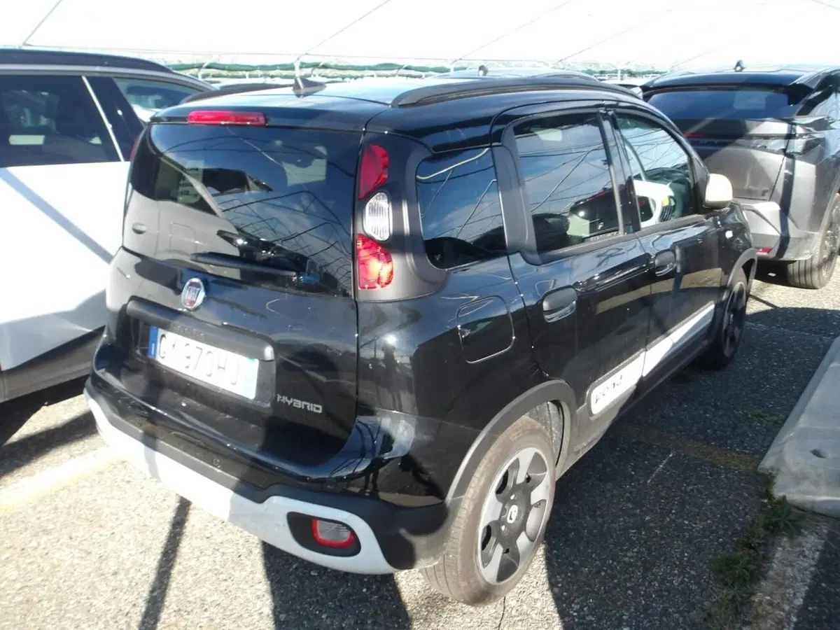 Fiat Panda Cross usata a Perugia (8)