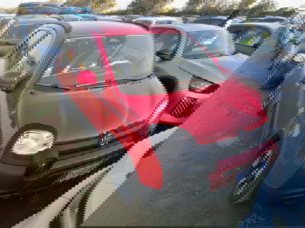 Fiat Panda Cross usata a Perugia (2)