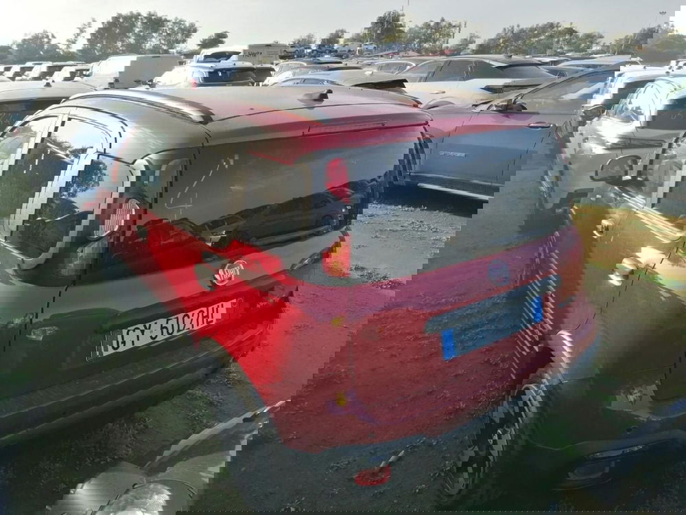 Fiat Panda Cross usata a Perugia (4)