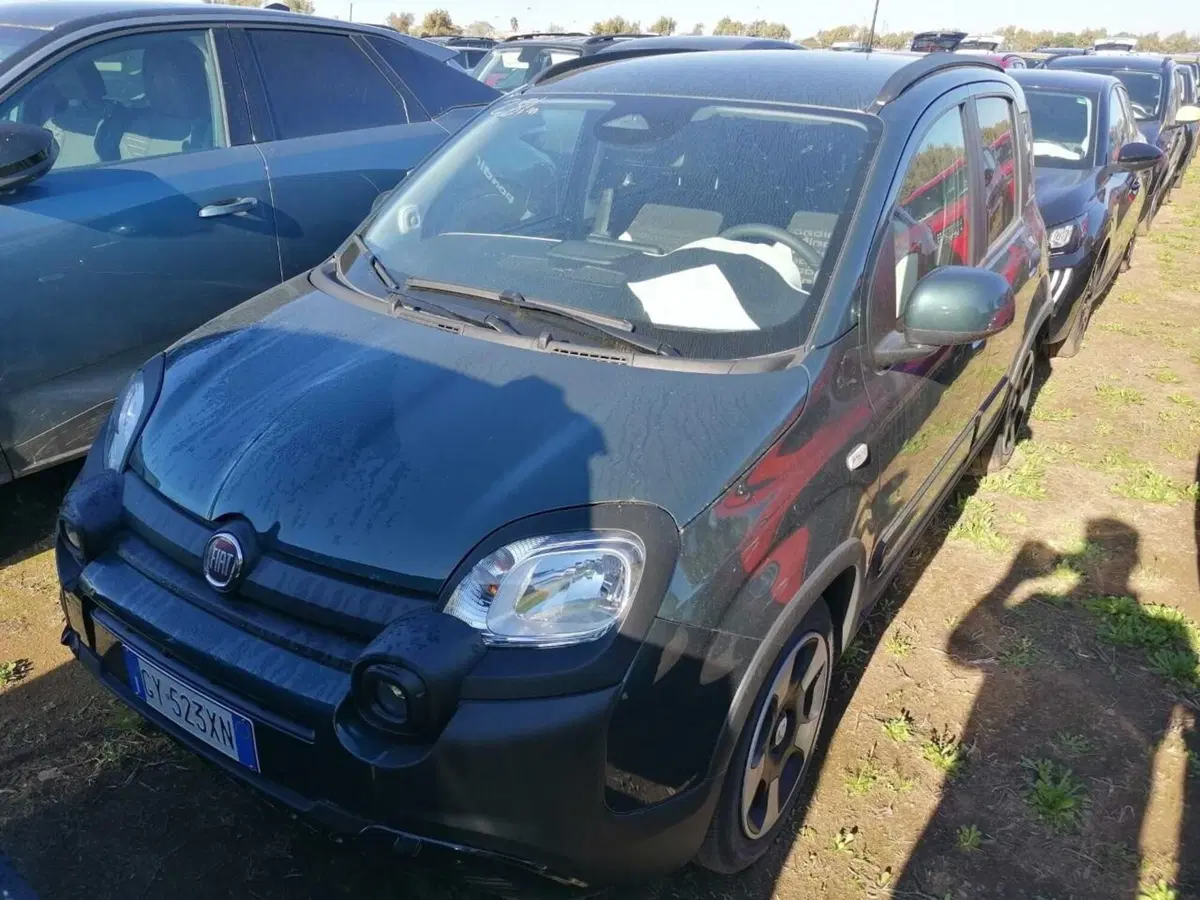 Fiat Panda Cross usata a Perugia