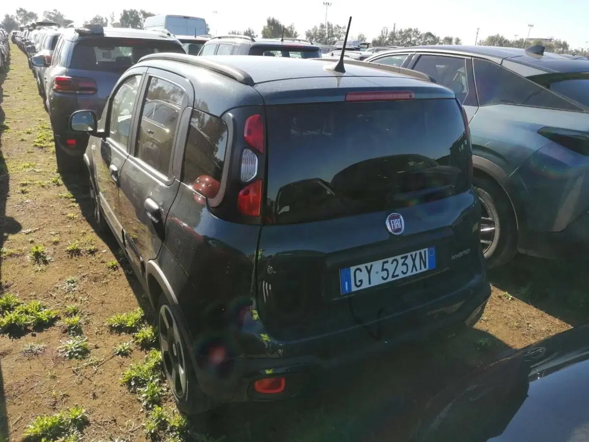 Fiat Panda Cross usata a Perugia (4)