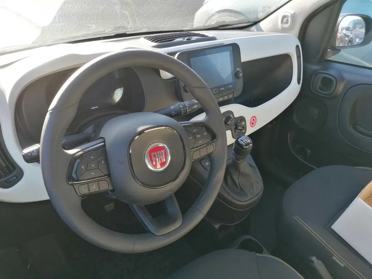 Fiat Panda Cross usata a Perugia (7)