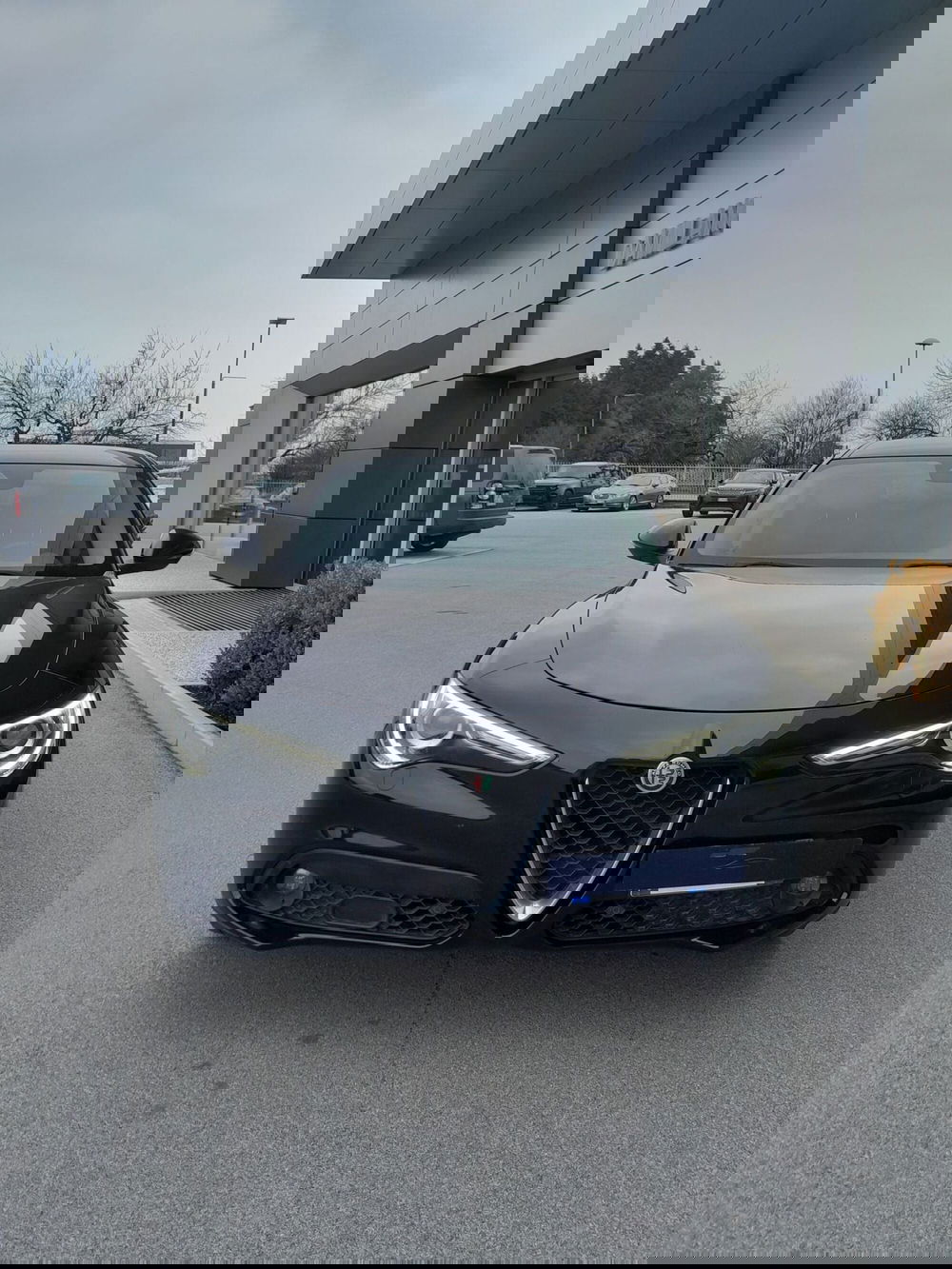 Alfa Romeo Stelvio usata a Cuneo (2)