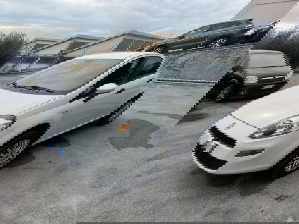 Fiat Punto usata a Macerata