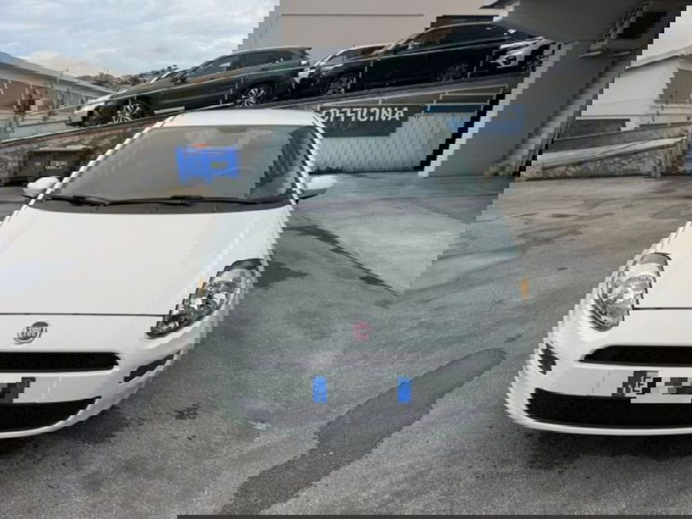 Fiat Punto usata a Macerata (2)