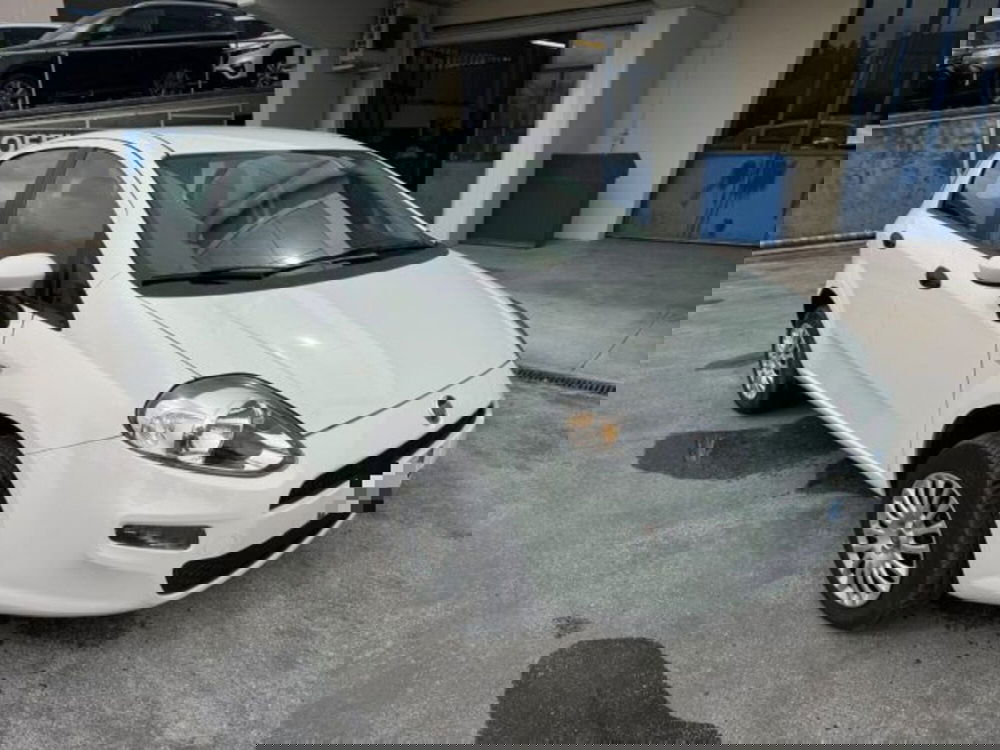 Fiat Punto usata a Macerata (3)