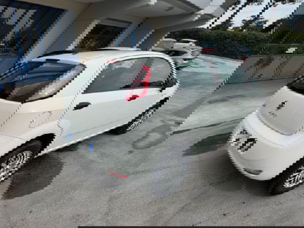 Fiat Punto usata a Macerata (4)