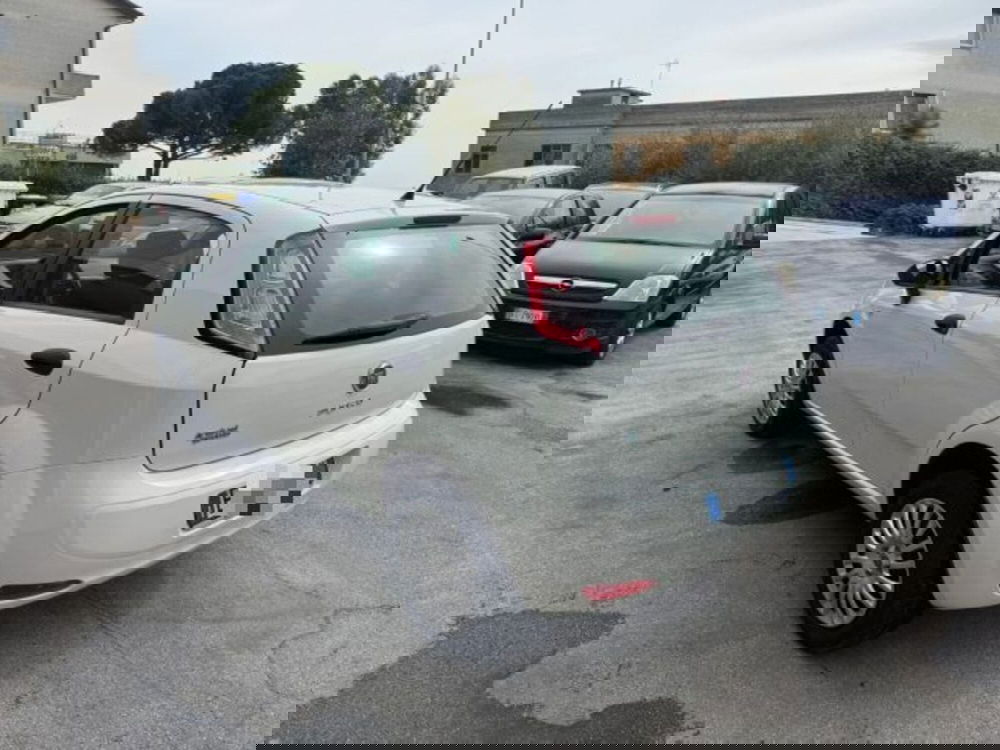 Fiat Punto usata a Macerata (5)