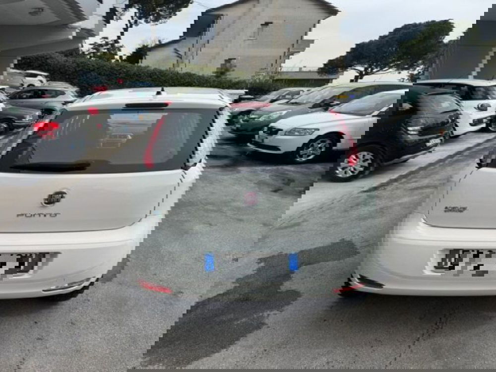 Fiat Punto usata a Macerata (6)