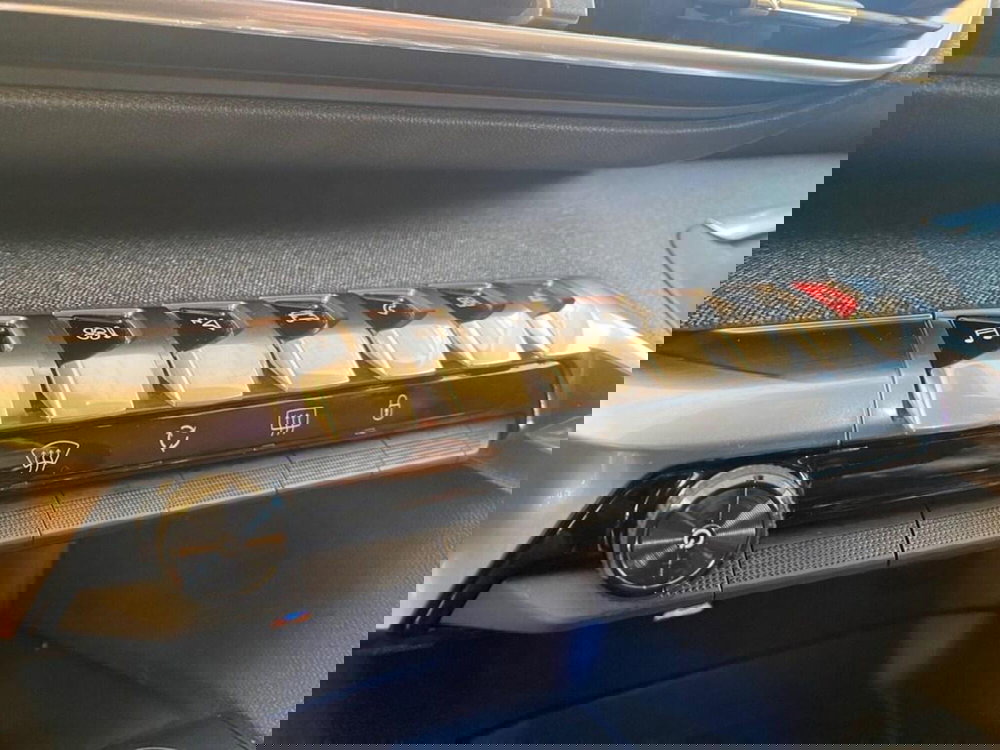 Peugeot 3008 usata a Torino (11)