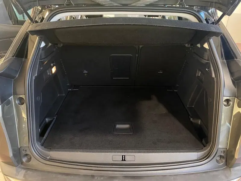 Peugeot 3008 usata a Torino (9)