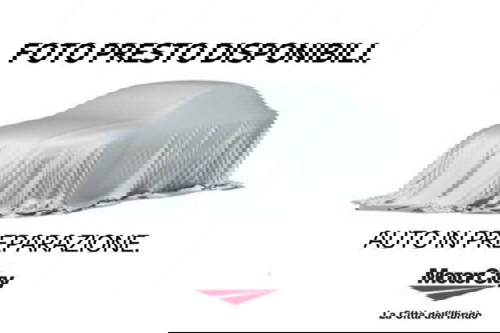 Fiat Panda Cross usata a Roma