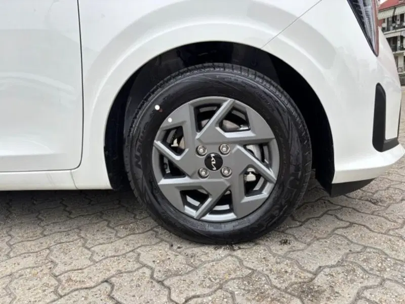 Kia Picanto nuova a Cuneo (3)