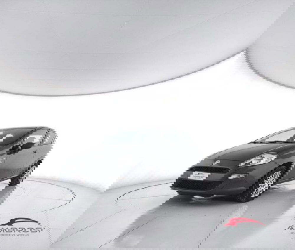 Fiat Punto usata a Perugia