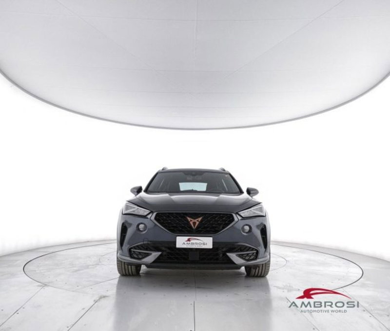 Cupra Formentor usata a Perugia (5)